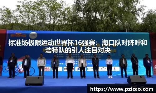 标准场极限运动世界杯16强赛：海口队对阵呼和浩特队的引人注目对决